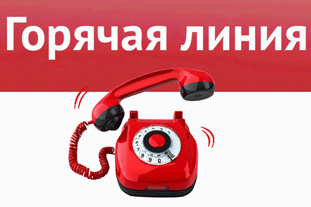 Горячая линия!