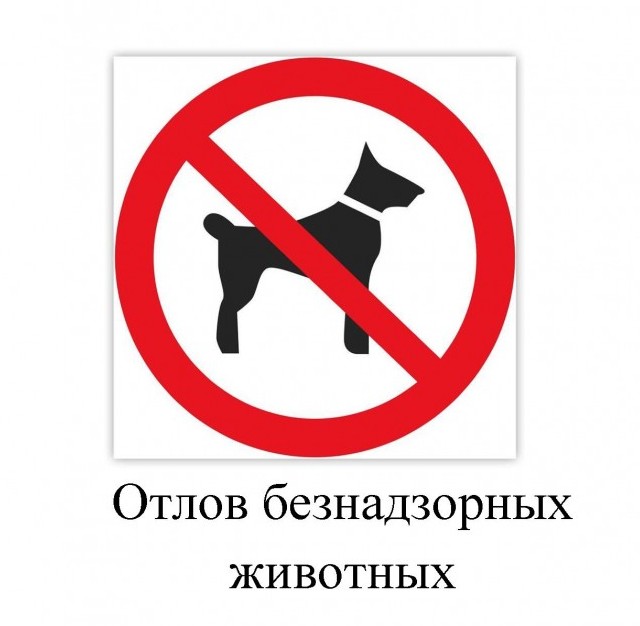 Отлов безнадзорных животных!