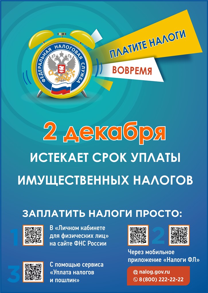 2 декабря 2024 года истекает срок уплаты имущественных налогов