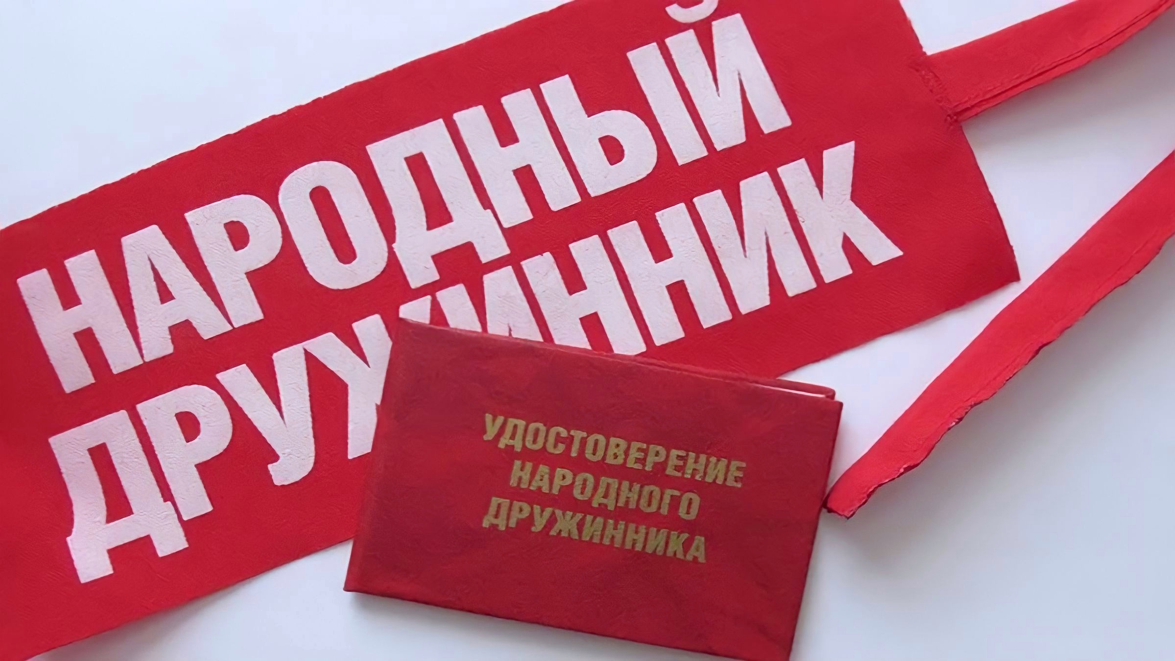 Общие условия и пределы применения народными дружинниками физической силы