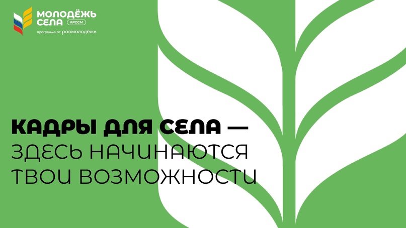 Проект «Молодые предприниматели села» реализуется в рамках программы «Кадры для села»