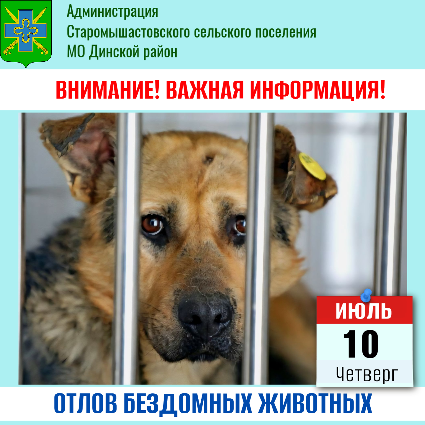 Отлов бездомных животных