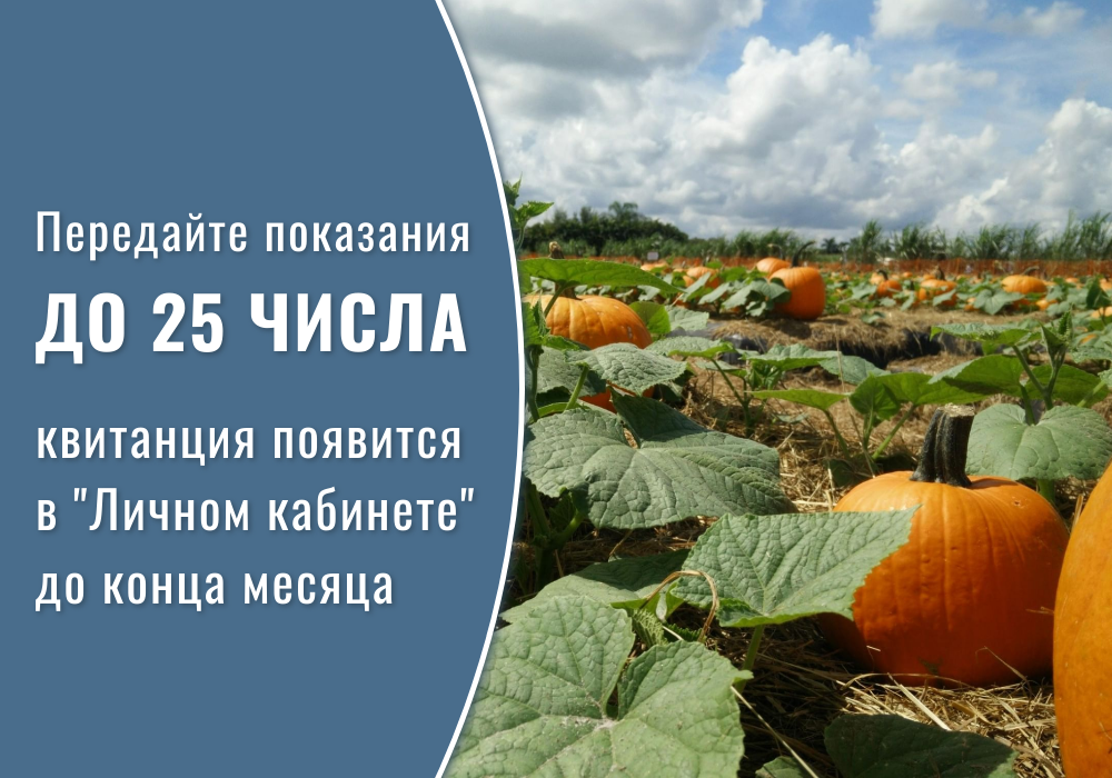 Информация ООО «Газпром межрегионгаз Краснодар»
