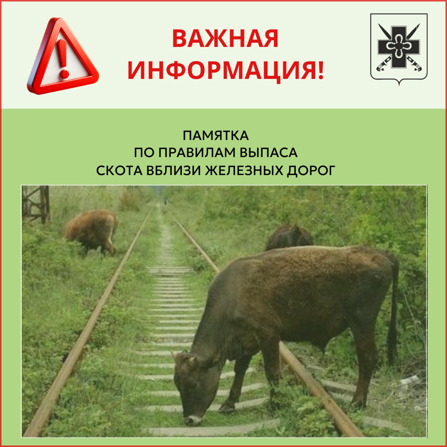ПАМЯТКА по правилам выпаса скота вблизи железных дорог