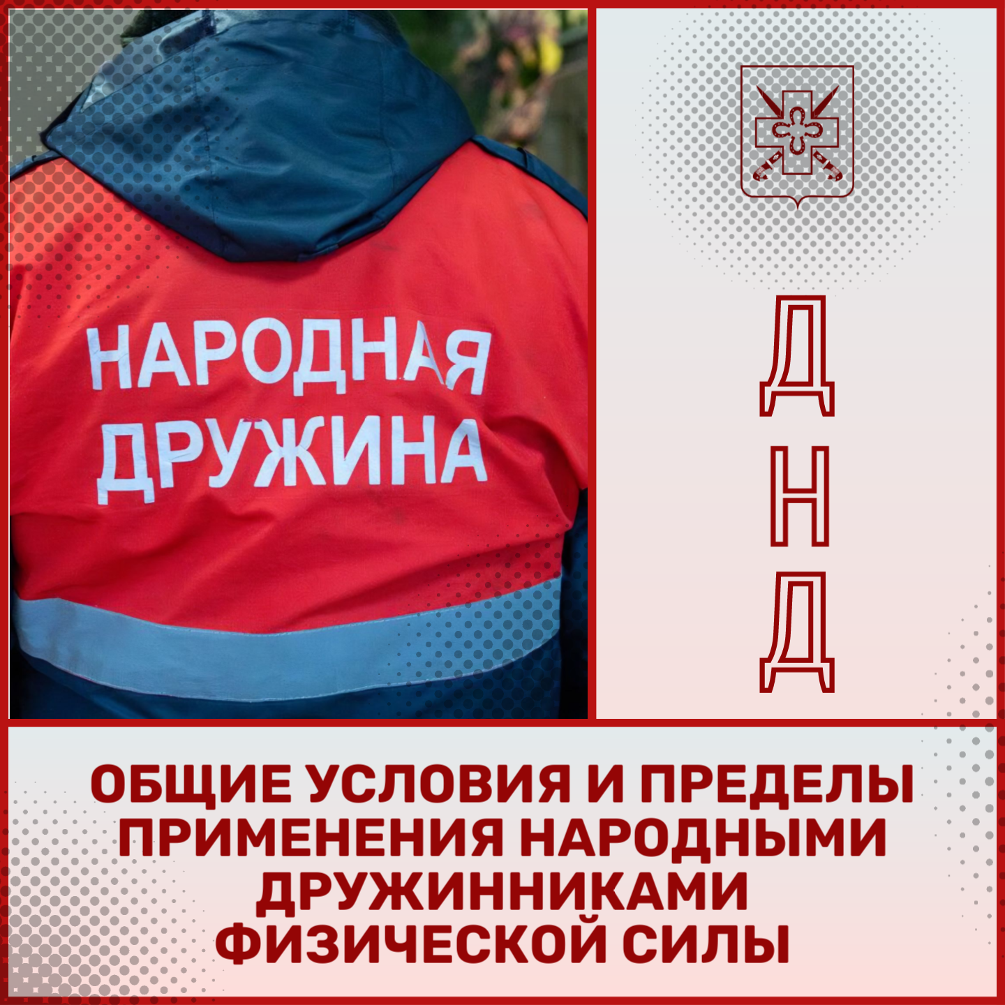 Общие условия и пределы применения народными дружинниками физической силы