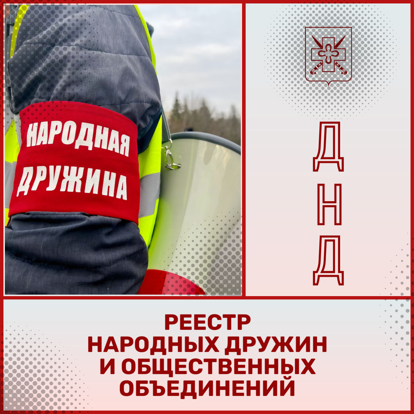 Реестр народных дружин и общественных объединений правоохранительной направленности в субъекте Российской Федерации