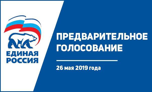 Предварительное всенародное голосование.