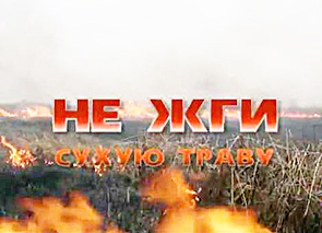 Введен запрет на сжигание на полях сухой травы