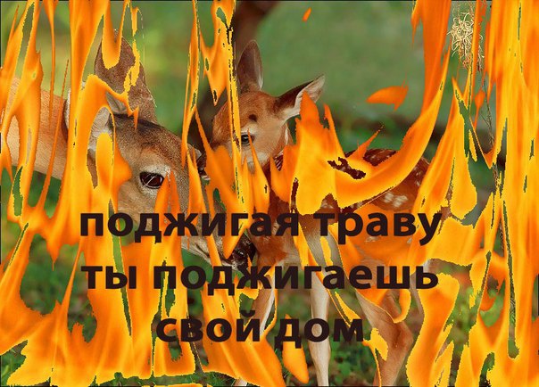 Внимание!