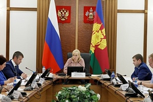 Вице-губернатор Анна Минькова: «Торговать алкоголем в 30 метрах от школы – это безобразие!»