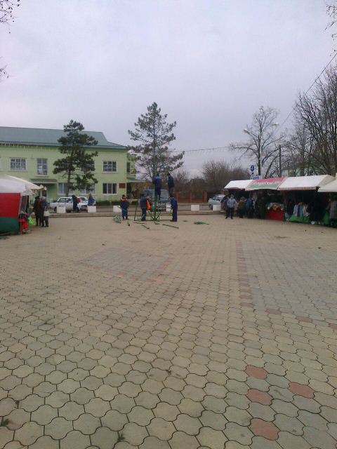 Установка Новогодней елки