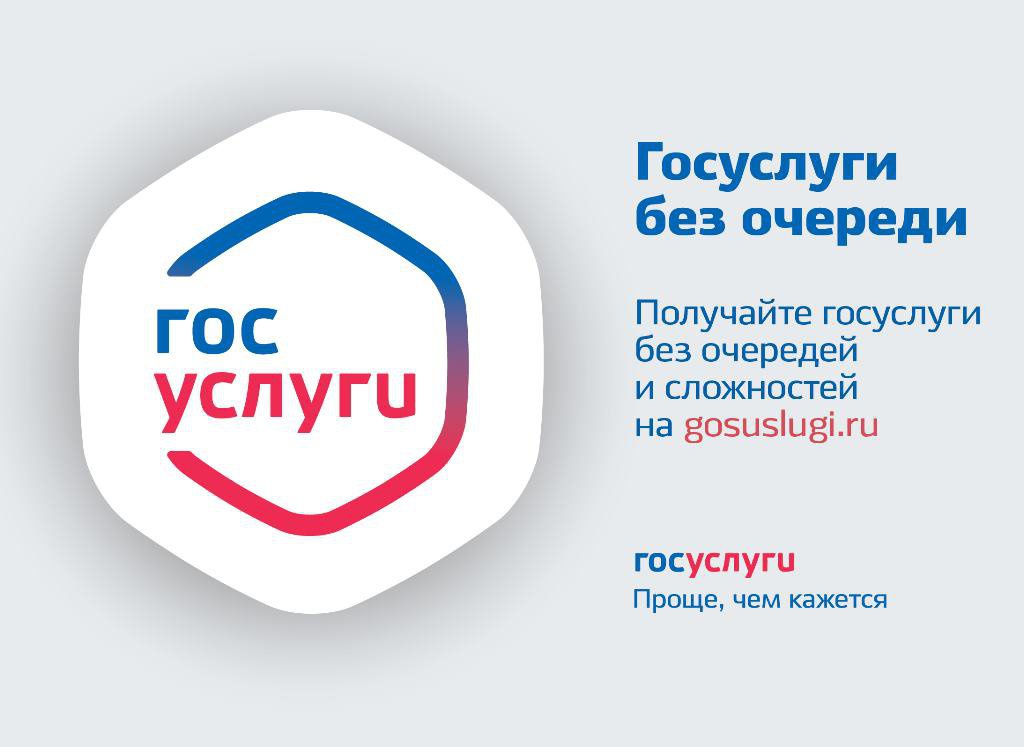 Преимущества получения государственных и муниципальных услуг в электронном виде