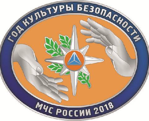 О проведении в МЧС России Года культуры безопасности