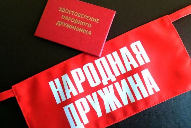 Деятельность органов государственной власти и органов местного самоуправления по обеспечению участия граждан в охране общественного порядка
