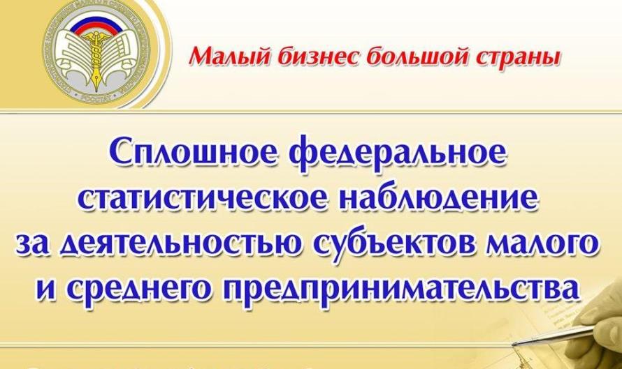 Сплошное статистическое наблюдение малого и среднего бизнеса за 2020 год