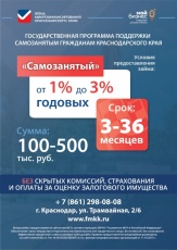 Поддержка физических лиц, не являющихся индивидуальными предпринимателями и применяющих специальный налоговый режим